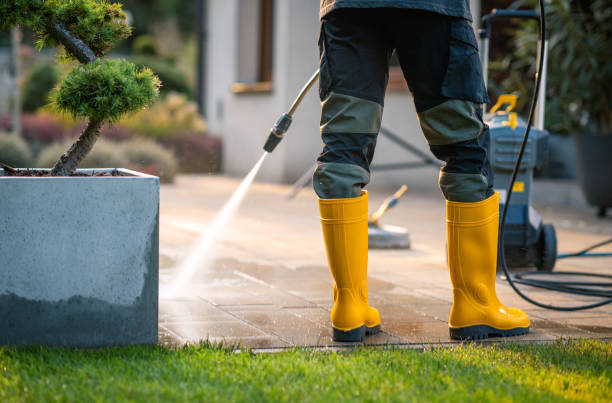 Best House Pressure Washing  in Flagstaff, AZ